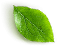 Decorazione a foglia
